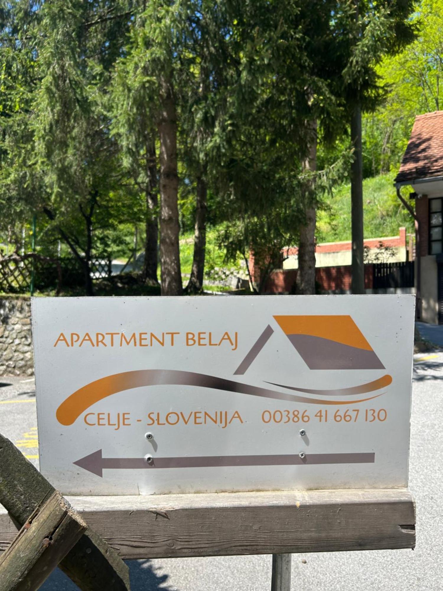 Apartment Belaj Celje Extérieur photo